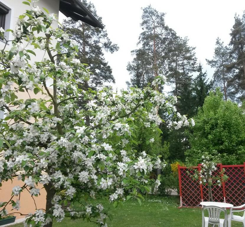 Ferienwohnung Kerth Sankt Kanzian am Klopeiner See Exterior photo
